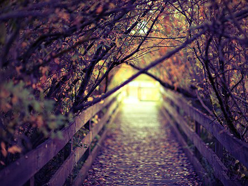 ���ò����ļ���Ů�������ִ�ȫ