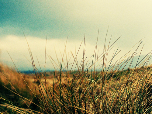 ����ظ���Ů�����ִ�ȫ