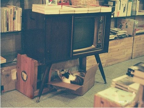 ����ظ���Ů�����ִ�ȫ