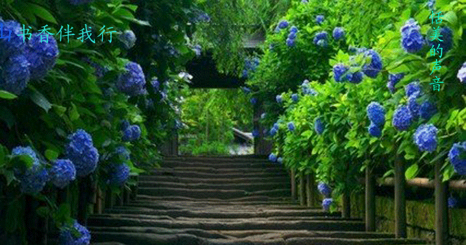 我和女儿比童年作文