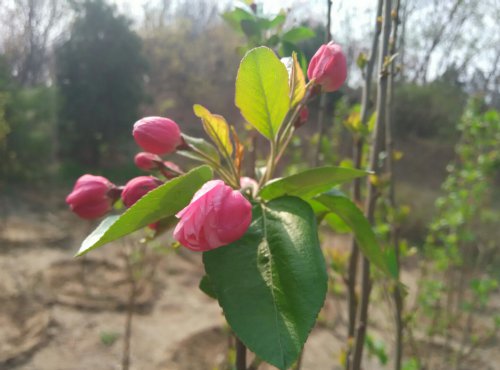 行走在希望的田野上作文