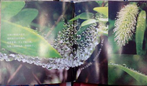 亲子共读《小蜗牛奔奔旅行记》作文