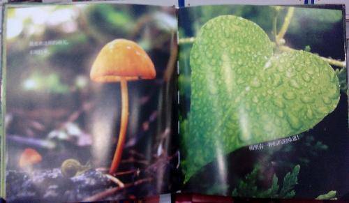 亲子共读《小蜗牛奔奔旅行记》作文