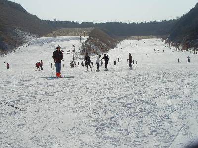 第一次滑雪-----痛并快乐着作文