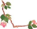 ô˵ӲŻ