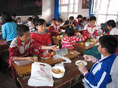 有趣的水果拼盘大赛作文