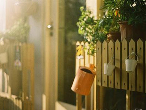 ��Ф���Ů���������ִ�ȫ