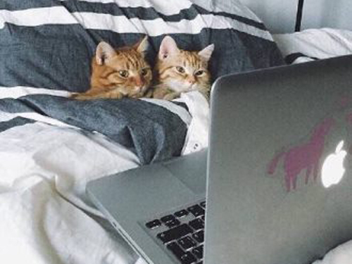 一名之改柳暗花明