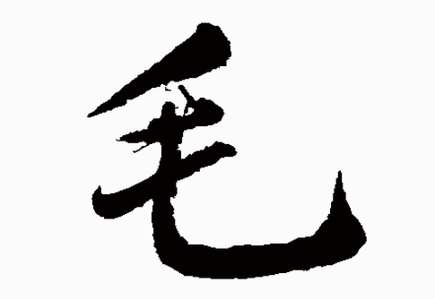 2017ꡰëձ