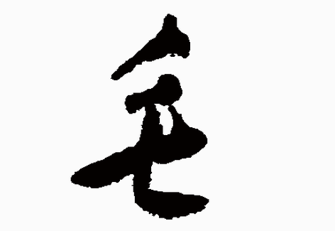 2017ꡰëձ