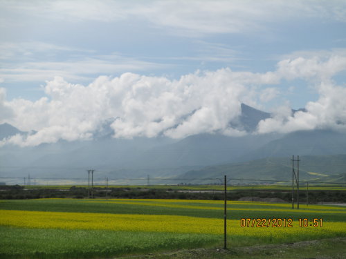 花海,我在这里遇见了你(博谈客论)作文