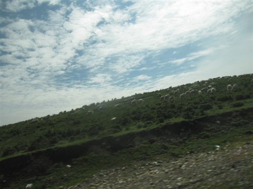 花海,我在这里遇见了你(博谈客论)作文