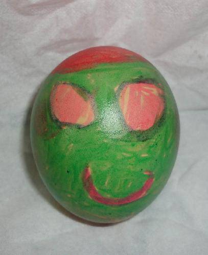 我们的蛋宝宝作文