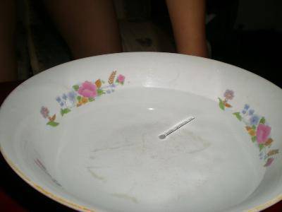 暑假快乐加油站第一期(2009/7/11)作文