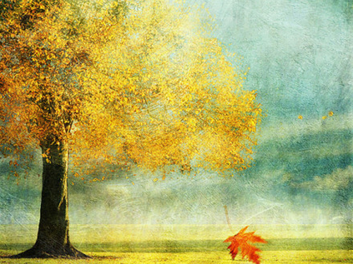 以美德取名,如“仁”字取名