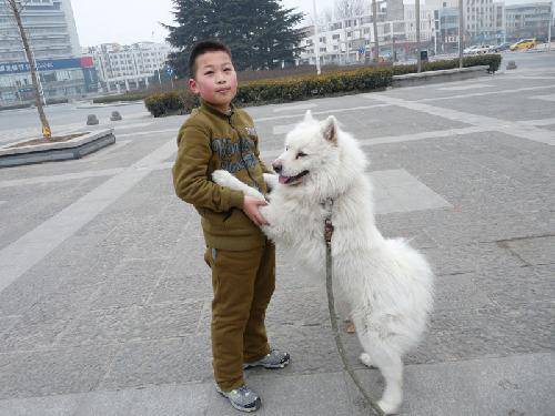 I  like  My  Dog ͼ   