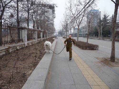 I  like  My  Dog ͼ   