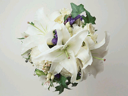 2017年下半年出生的双胞胎宝宝名字大全