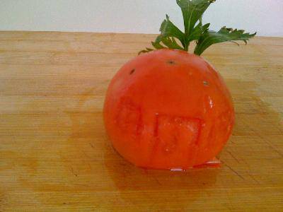 厨房里的快乐作文