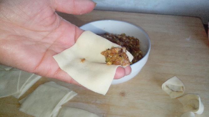 女儿好这口——馄饨作文