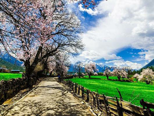 用衬字来取名,“妮”字