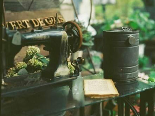 中国起名历史轨迹