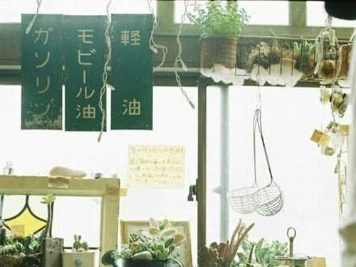 中国起名历史轨迹