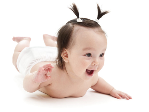 姓氏与姓名的功能介绍