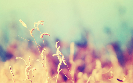 姓名知识学之81数60-81吉凶详解