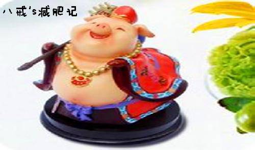 《西游记》后续——八戒减肥记作文