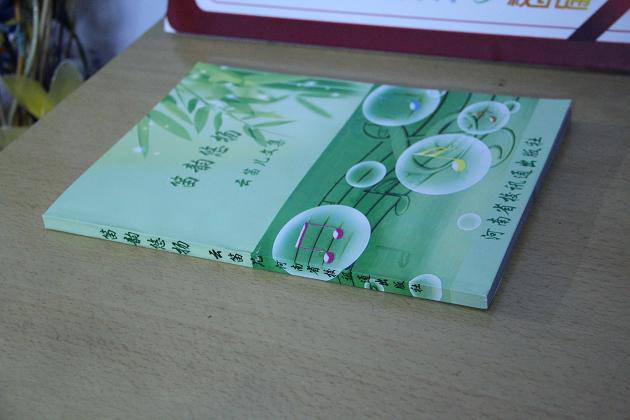 我的文集出版展示作文