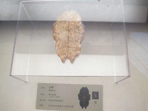 参观中国文字博物馆,品千年文化作文