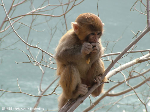 什么样的八字易克母且母亲容易有伤灾