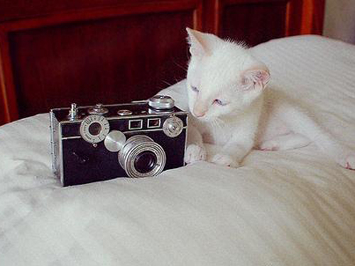 百家姓知识大全之许姓