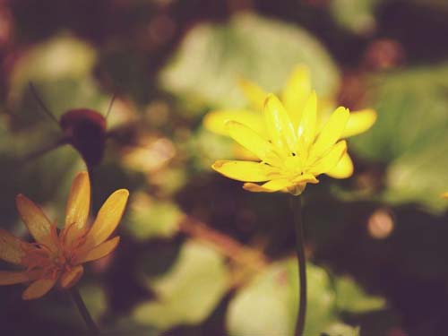 宝宝取名一定要注重的忌讳!