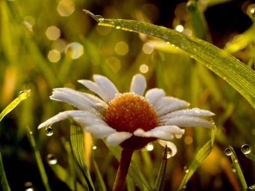 宝宝取名一定要注重的忌讳!