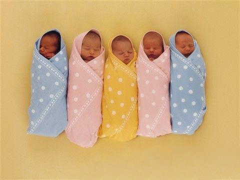 十二生肖如何取名会更具福气?