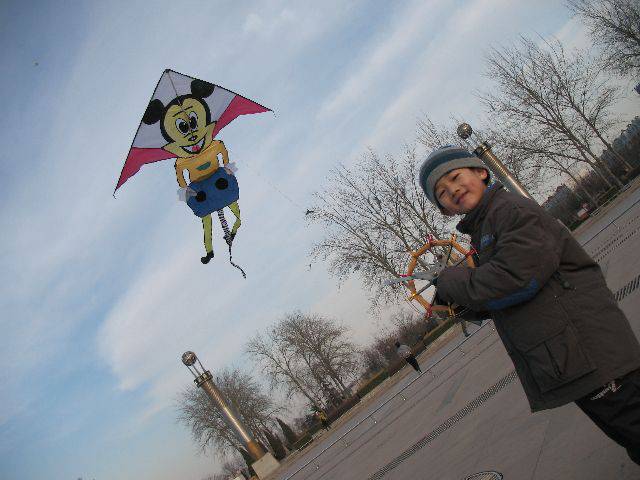 我要飞的更高(配图)作文