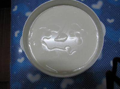 第一次做酸奶作文