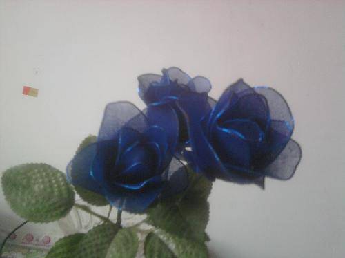 用心编织人生,做温馨妈妈作文