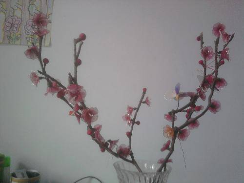 用心编织人生,做温馨妈妈作文