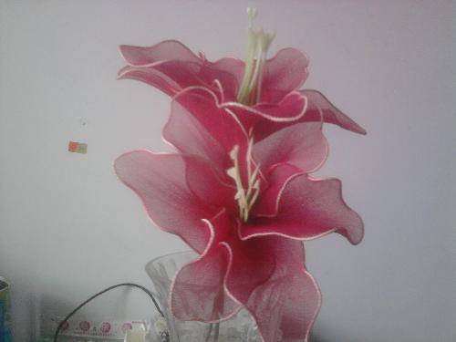 用心编织人生,做温馨妈妈作文