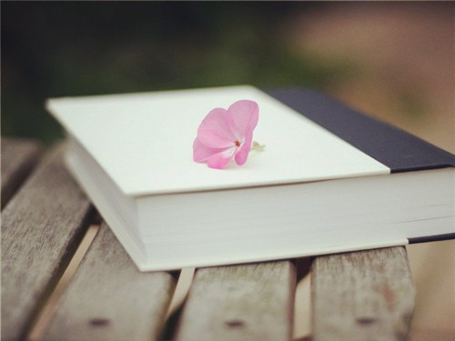 致准爸妈一封不能不读的起名公开信