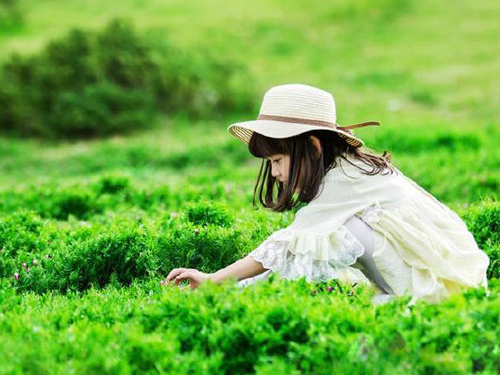 名字字型的讲究