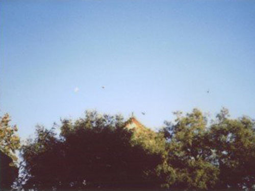 Щ㲻ֵ֪ɫ