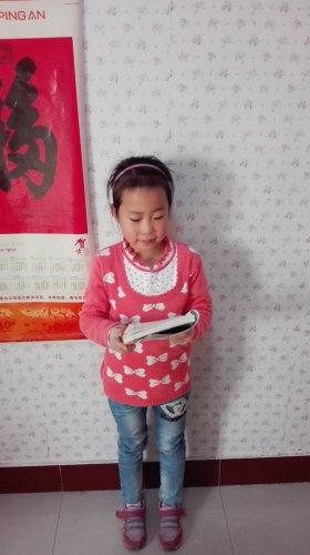 第八小组读书会(二年级下学期)作文