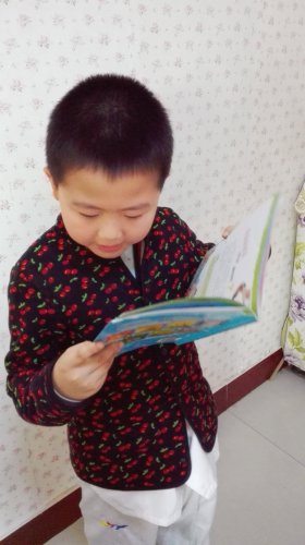 第八小组读书会(二年级下学期)作文