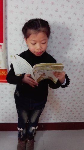 第八小组读书会(二年级下学期)作文