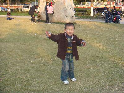 走向大自然,感受早冬的气息作文