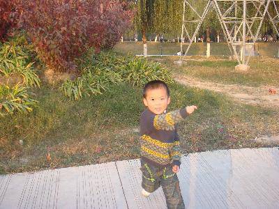 走向大自然,感受早冬的气息作文